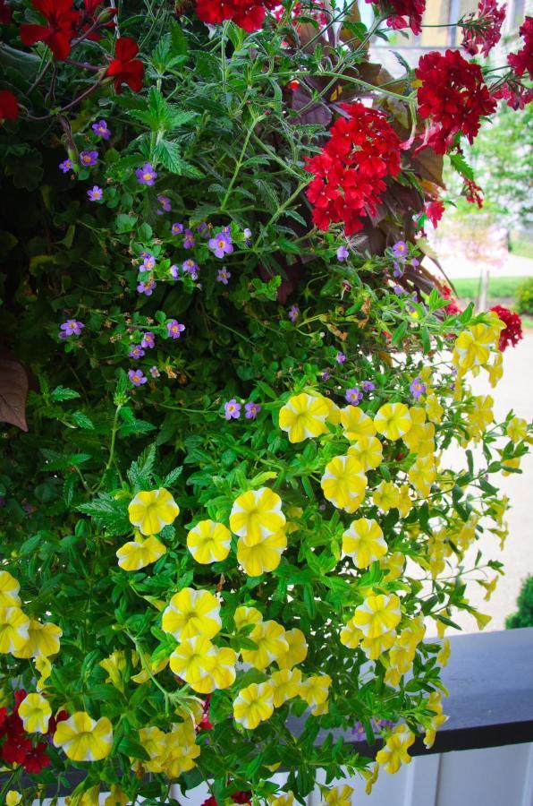 Avery House B&B Stratford Esterno foto